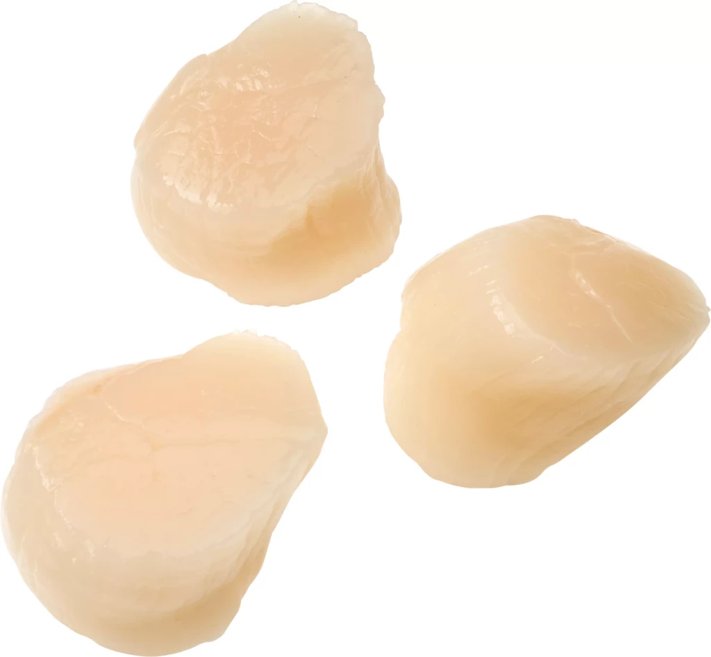 TK Kammmuschelfleisch