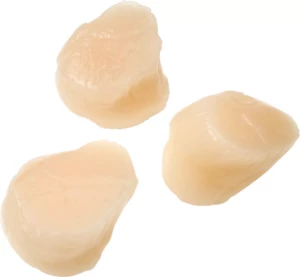 TK Kammmuschelfleisch