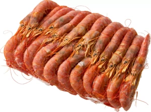 Gambas_Argentina