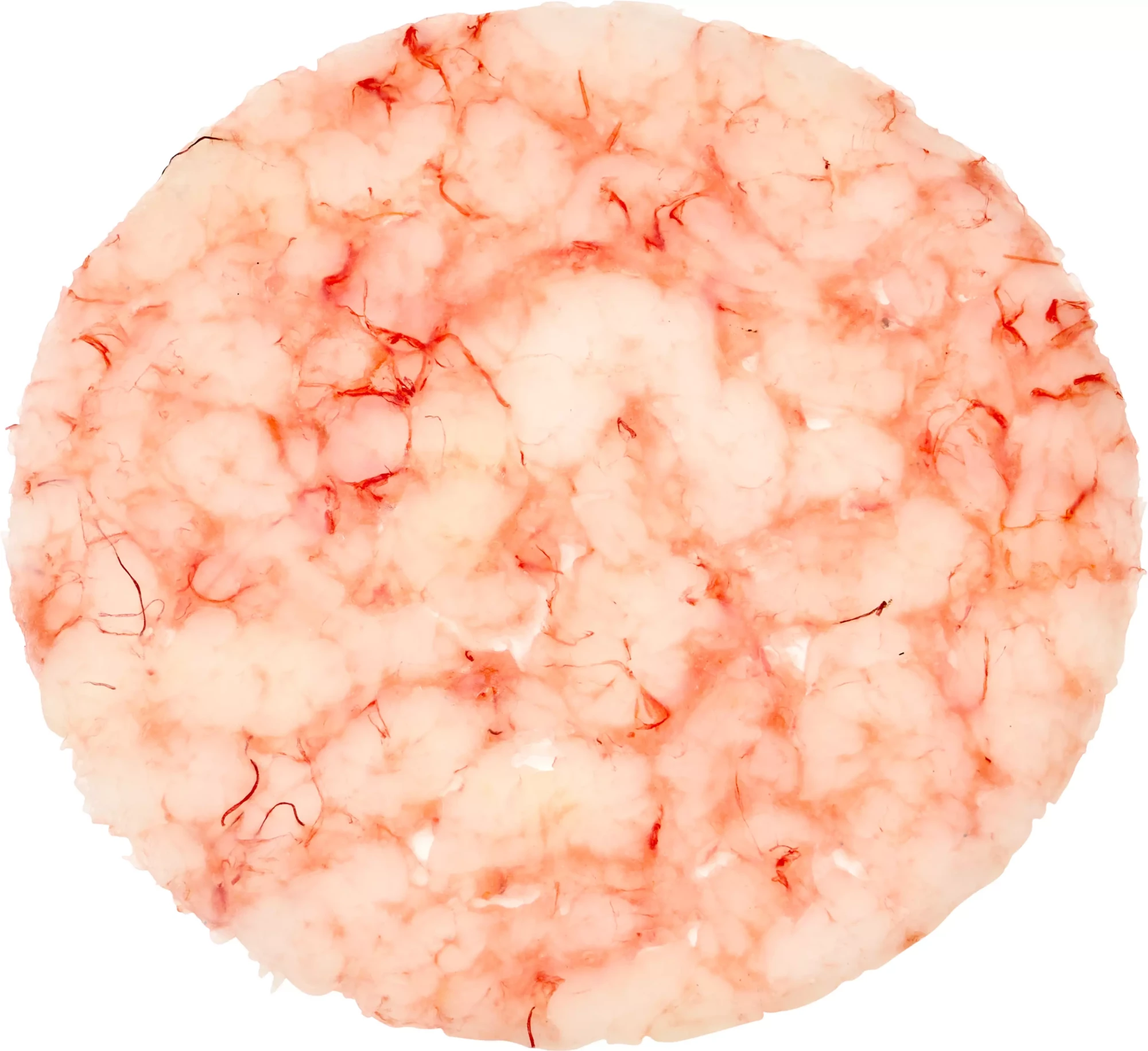 Gambero Rosso Carpaccio