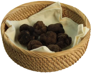 Chinatrüffel