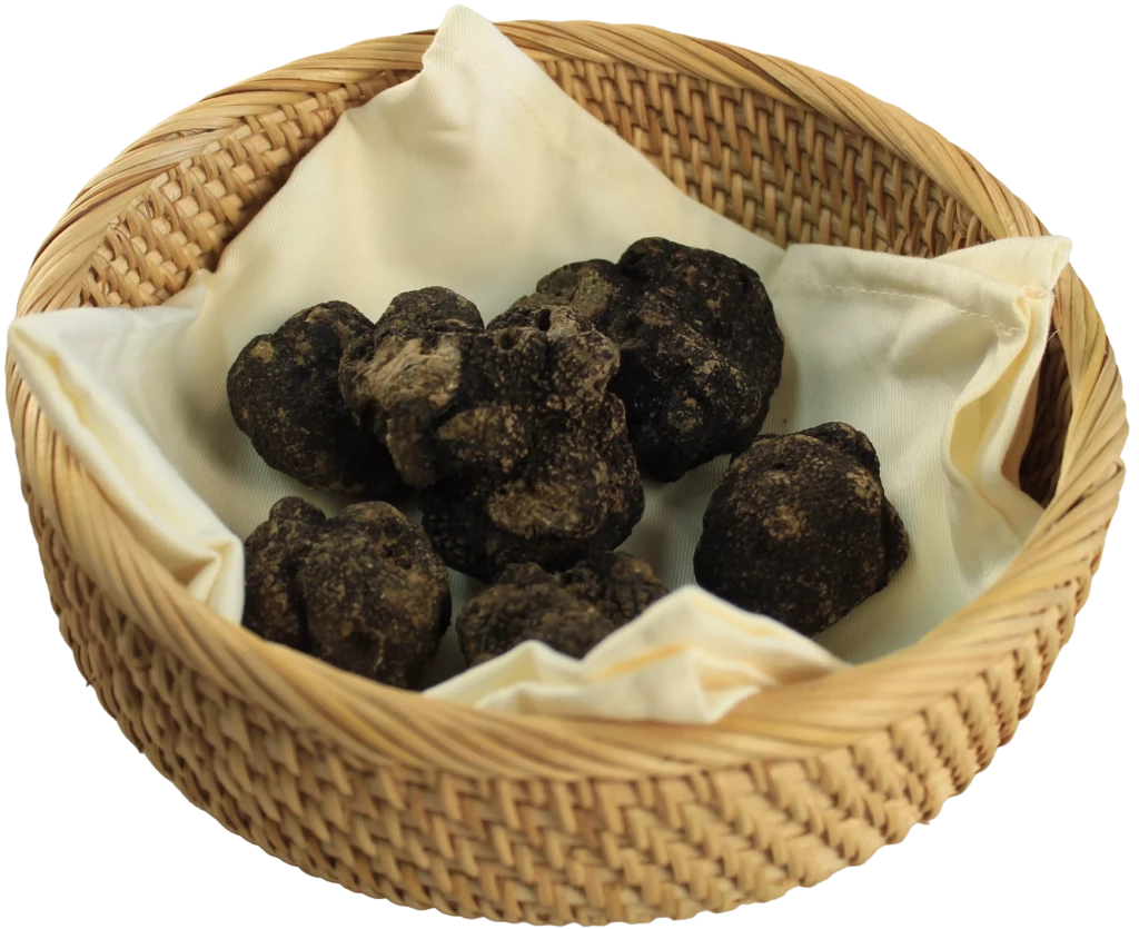 Schwarze Trüffel