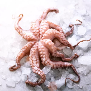 Oktopus