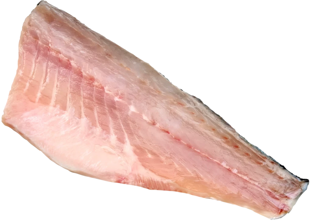 Doradenfilelt_RS
