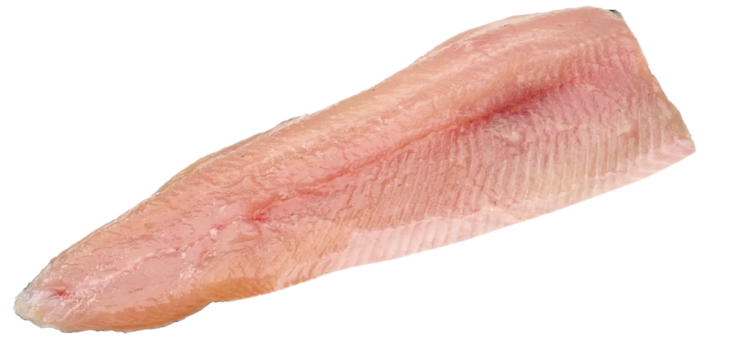 Forellenfilet_filetiert_VS