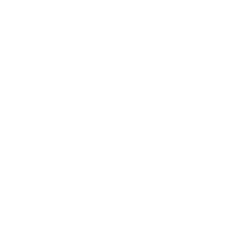 Logo-Villani