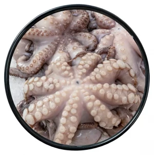 Polpo