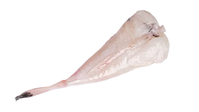 Seeteufelfilet_Foto