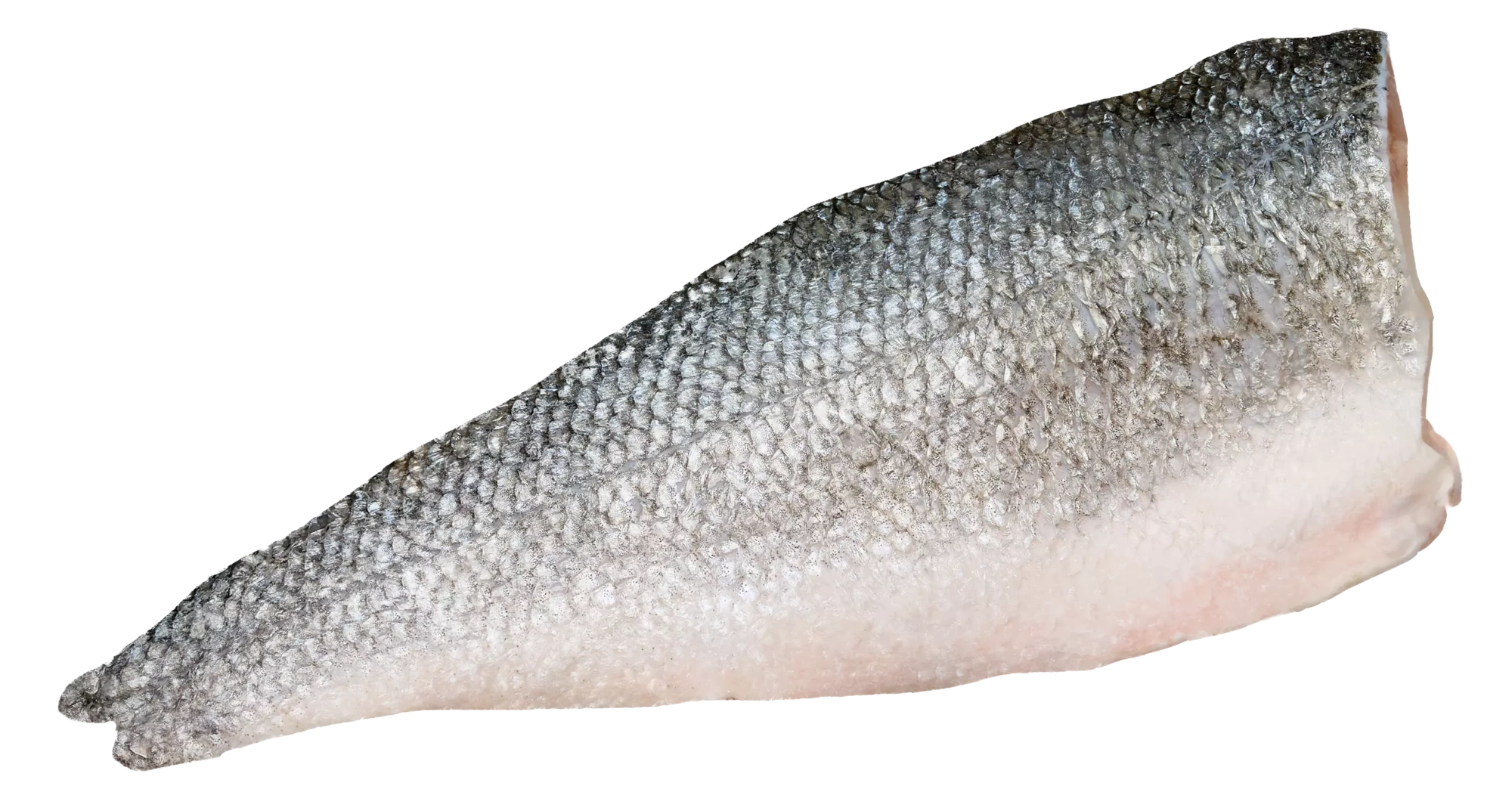 Wolfsbarschfilet_250g_RS_filetiert