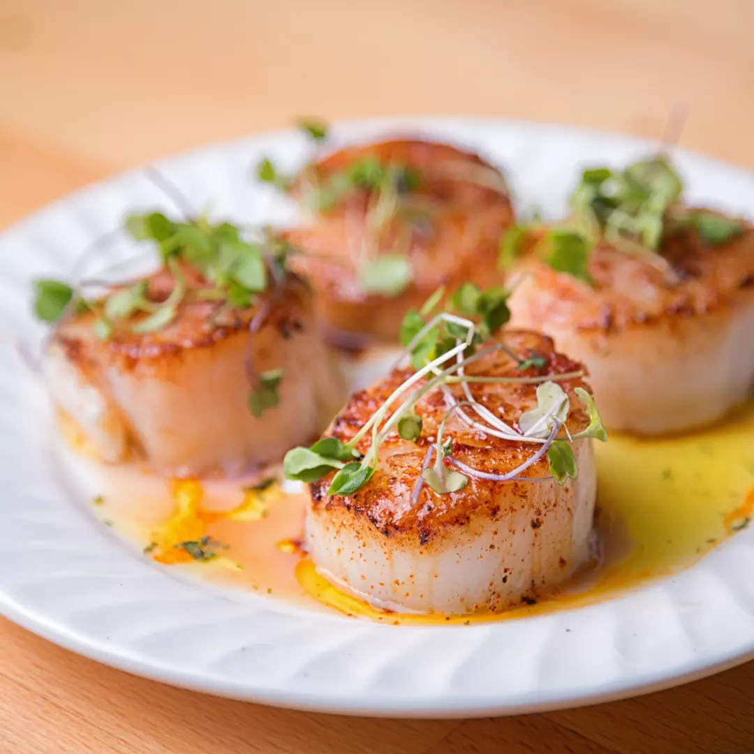 jakobsmuscheln rezept