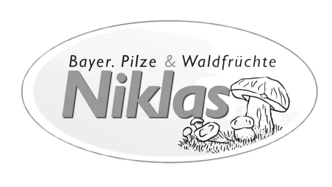 Produktfotos Newsletter Brevo (32)