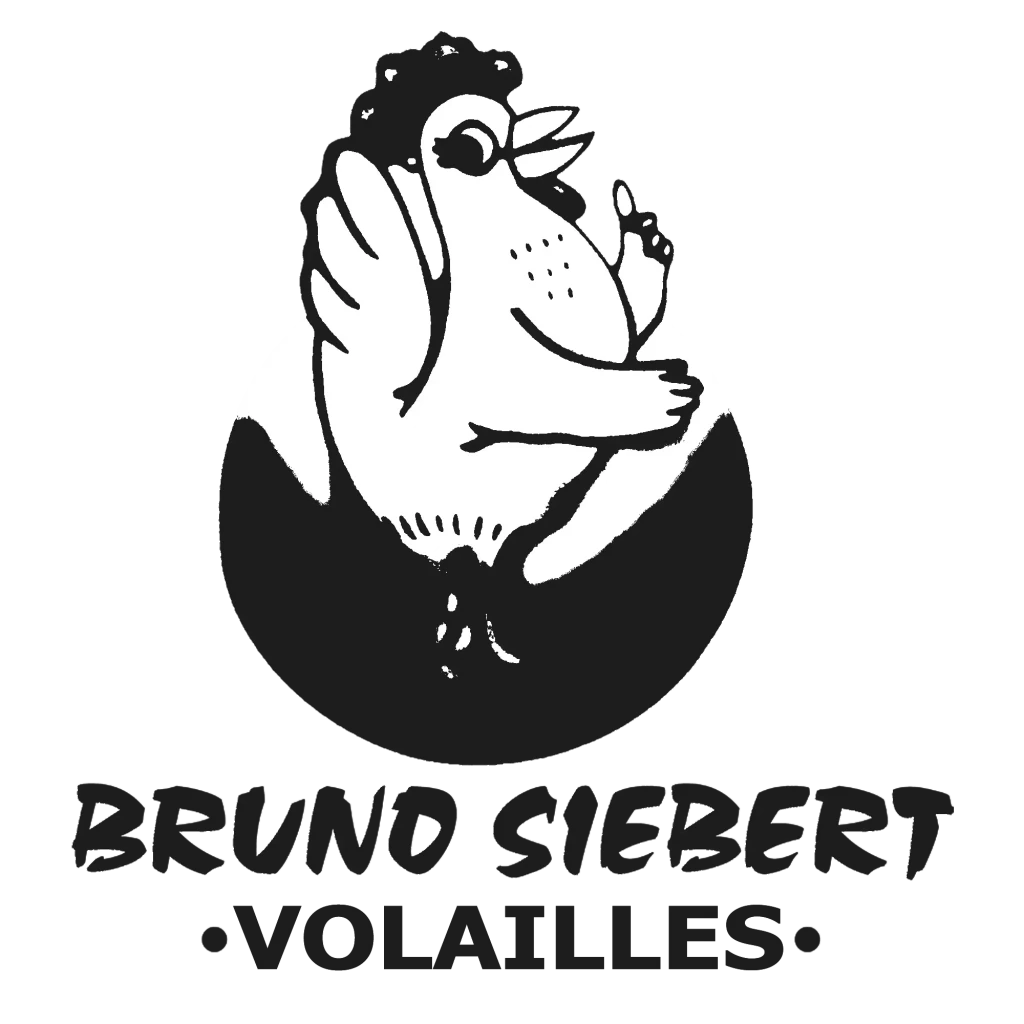 Logo siebert droit noir et blanc